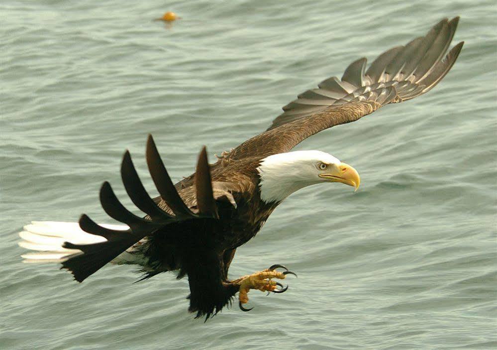 Eagle Nook Resort اوكلويلت المظهر الخارجي الصورة
